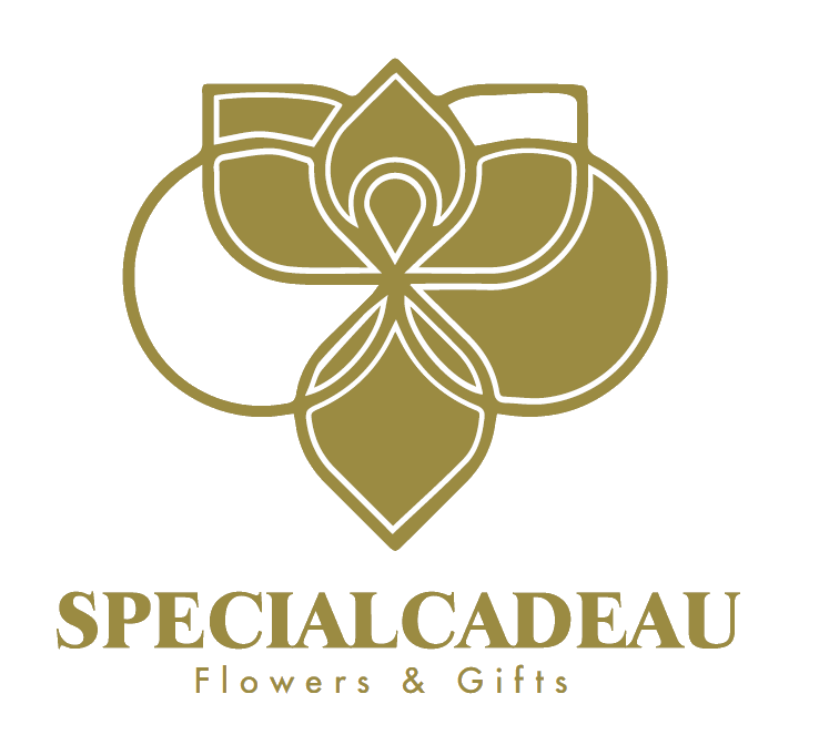 specialcadeau 